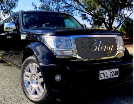 Bling Limousines