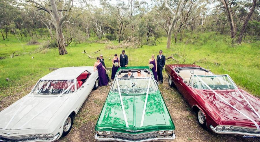 Impressive Impalas of Adelaide
