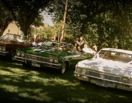 Impressive Impalas of Adelaide