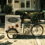 Ice Cream Carts For Hire in Sunshine Coast